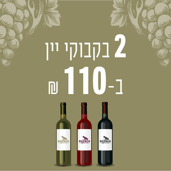 מבצע: 2 בקבוקי יין ב 110 ש"ח