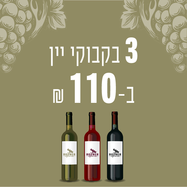 מבצע 3 בקבוקי יין ב 110 ש"ח